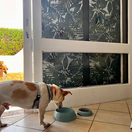 Studio Albufeira Jardim T0 외부 사진