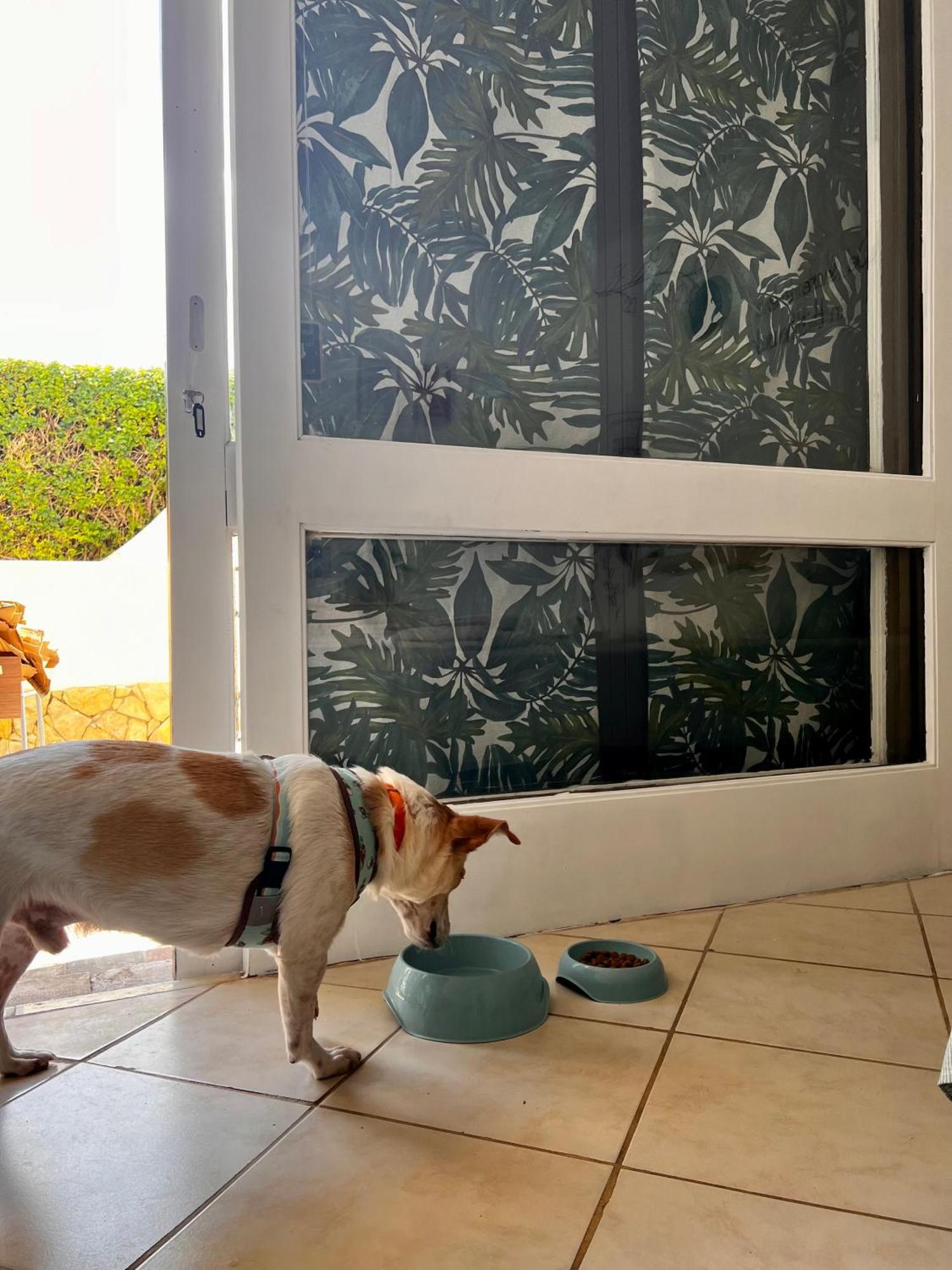 Studio Albufeira Jardim T0 외부 사진